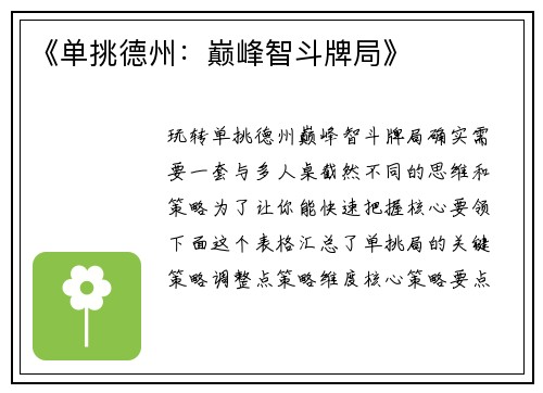 《单挑德州：巅峰智斗牌局》